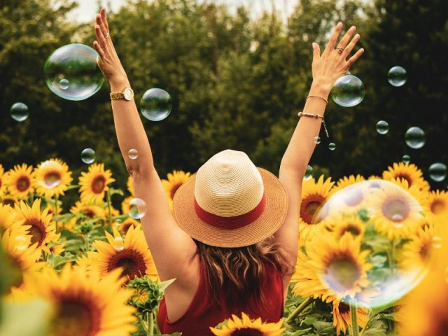 Find out how to effectively face changes with Life Coaching