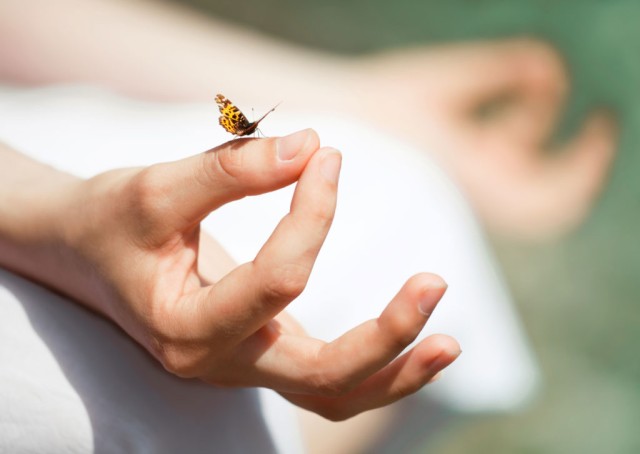 Scopri come la meditazione può migliorare la tua vita!